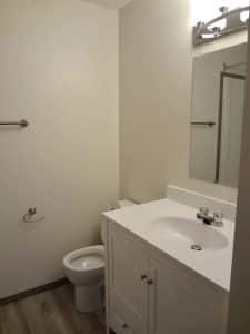 Bathroom Area
